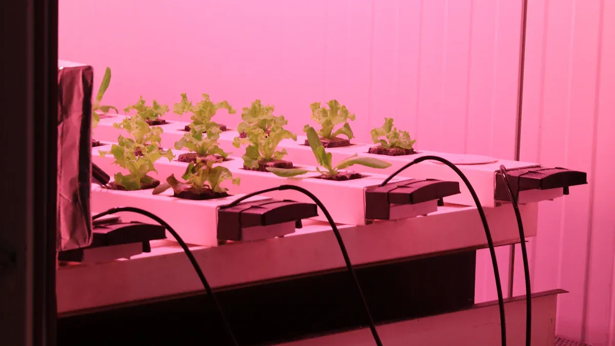 వర్టికల్ గ్రో లైట్లు నిజంగా మీ మొక్కలు మెరుగ్గా పెరగడంలో సహాయపడగలవు