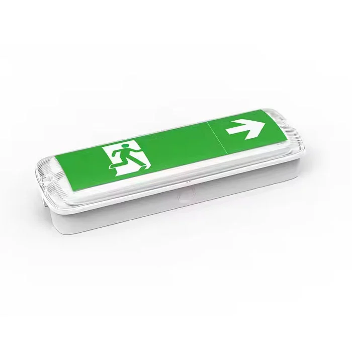 పారిశ్రామిక స్వీయ-నియంత్రణ LED అత్యవసర బల్క్‌హెడ్